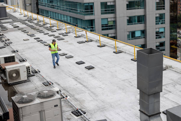 Best Roof Moss and Algae Removal  in Air Force Academy, CO